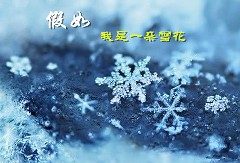 假如我是一朵雪花800字想象开云online(中国)