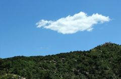 我是一片云开云online(中国)