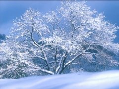写景的开云online(中国)200字-下雪啦