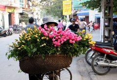 卖花的小女孩700字开云online(中国)