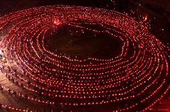 板凳龙开云online(中国)